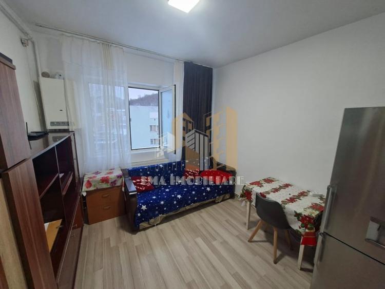 Camera de camin Noua Brasov - 3