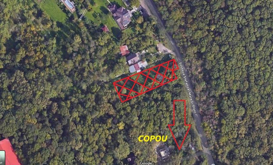 Copou - Teren intravilan 1853 mp PUZ in lucru 3 locuinte - 1
