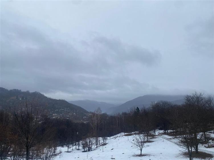 TEREN VALEA DOFTANEI - 7