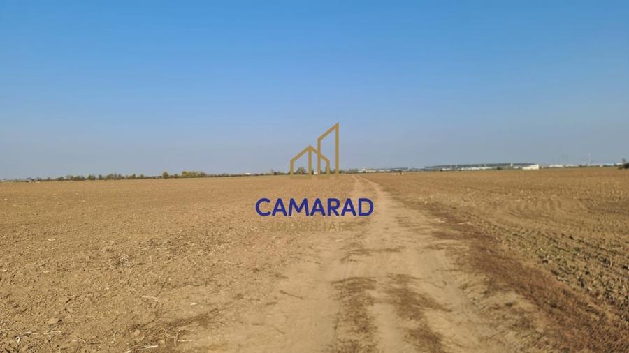 Teren intravilan de vanzare - zona industriala Domnesti/A1 - 3