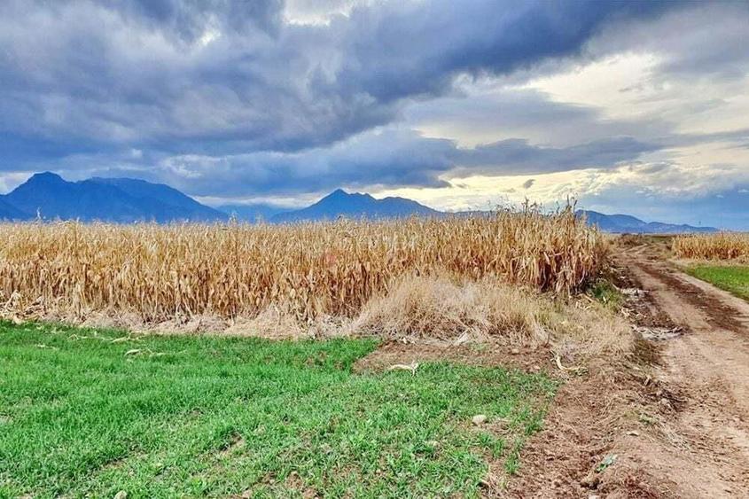 Teren extravilan Tarlungeni - 7