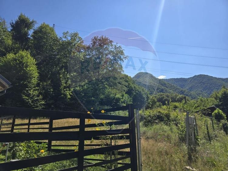 Teren 4,000mp Pascoaia / Soseaua Punctul Chiliilor - 11