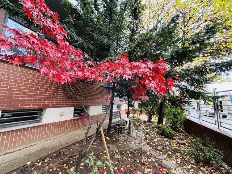 Spațiu de birouri de 98mp de închiriat în zona Barbu Vacarescu - 9