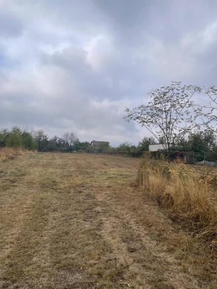 Teren Centru Clinceni - 2