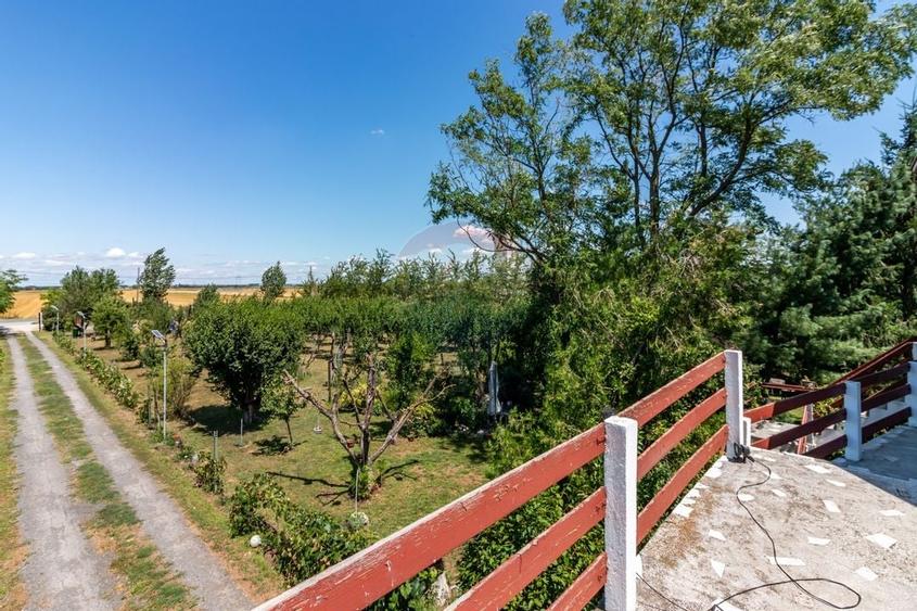 Casa+Laborator+ Teren 12.700 mp + casa de vacanta - Bolintin Vale - 31