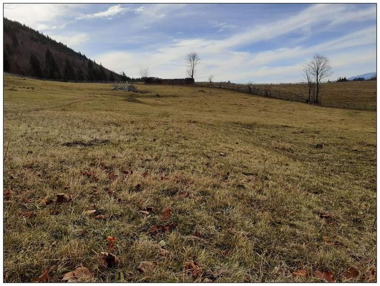 Teren Cu Priveliste Panoramica Si Acces Din Drumul Principal - 4