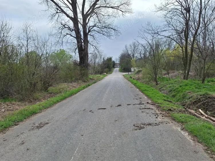 Sinesti-Livedea vanzare teren intravilan - 3