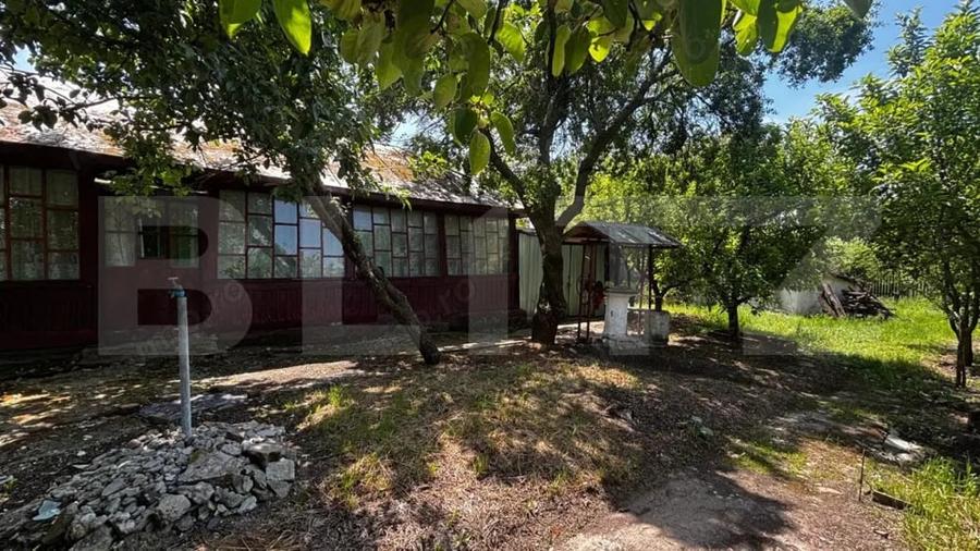 Proprietate cu 2 case, 3.345 mp teren, Balota de Jos, comuna Murga?i - 18