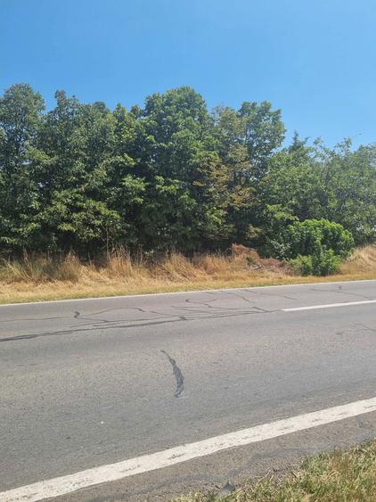 Teren 5000 m intravilan - 3