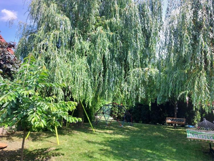 Casa individuala, cu garaj, teren 917 mp, in Andrei Muresanu - 12