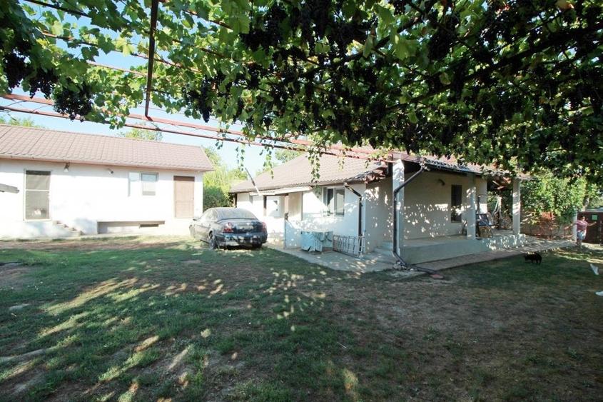 Casa La Tara  - 2700MP - Tichilesti Constanta - Vita De Vie - Pomi Fru - 5