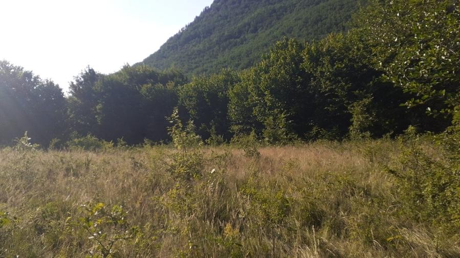 Roscani-Dobra-Teren Cabana-10km A1-Posibilitate Rate - 5