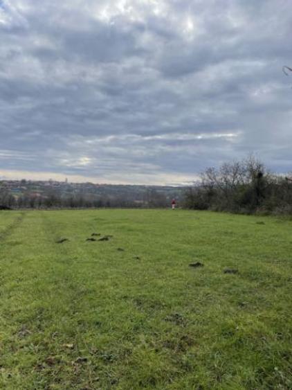 Teren intravilan de vânzare Sacosu Mare - 3