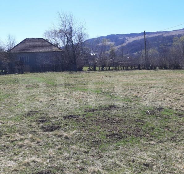 Teren extravilan 1.000 mp Valea Draganului - 4