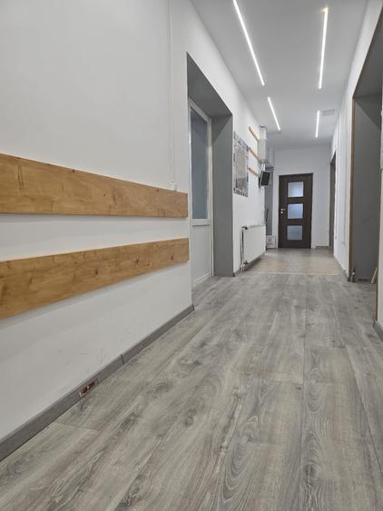 Hala depozitare sau mica productie, zona Zizinului, 400mp - 8