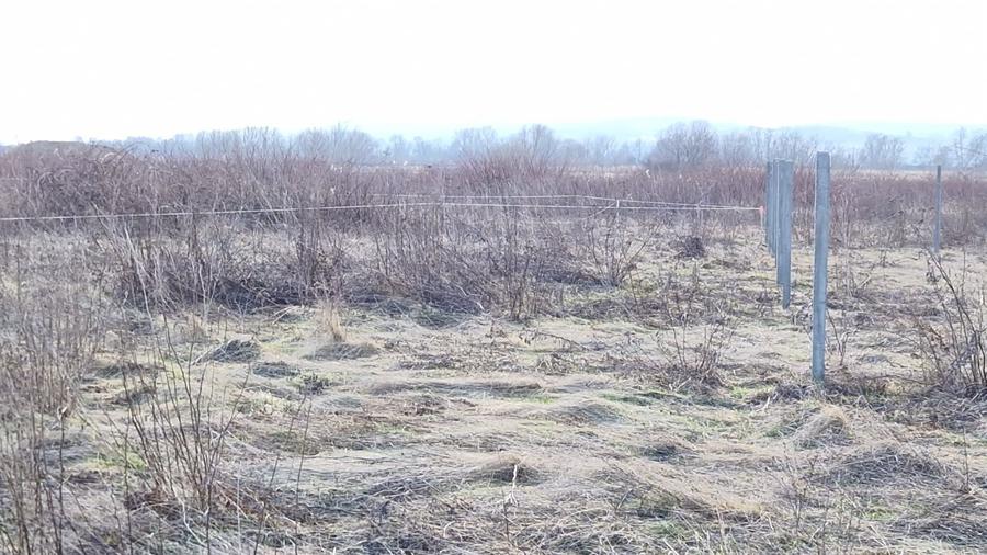 23 ari intravilan Busag - 2