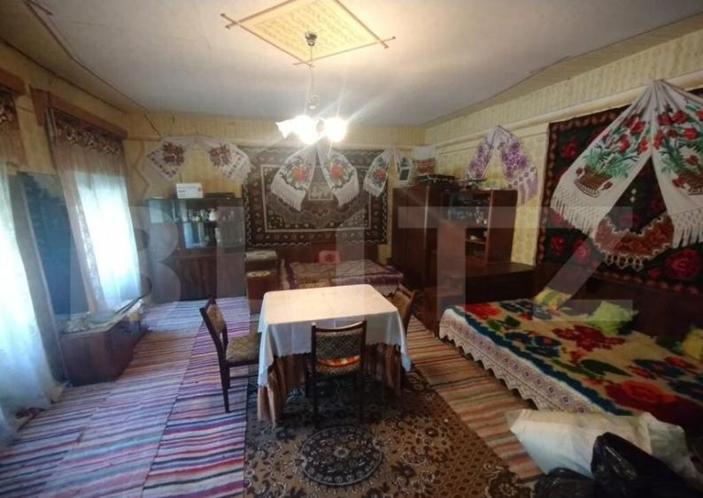 Casa 160mp utili+anexe+teren 67 ari intravilan,10 km distant - 1