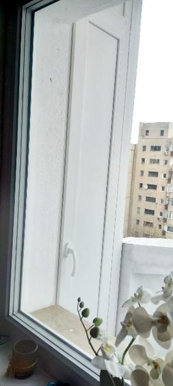 Vand apartament 1 camera zona Platinia, USAMV, Calea Manastur, panorama - 8