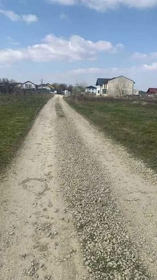 Teren 1.055 mp cu 2 deschideri Dumitrana Magurele Utilitati, Merita Vazut! - 2