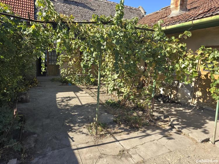 vand casa in Jimbolia str Republicii. - 5