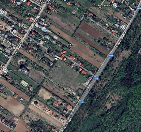 Teren intravilan Snagov, 9.000 mp, servitute, utilitati - 2