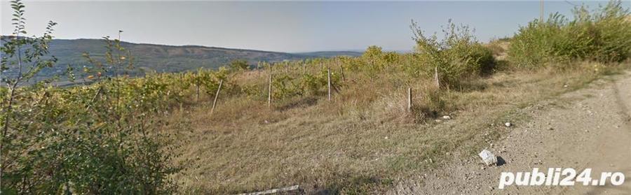 Teren Urla?i, Str. Orzoaia de Sus, 1000m/2, intabulat ?i cadastrat - 1