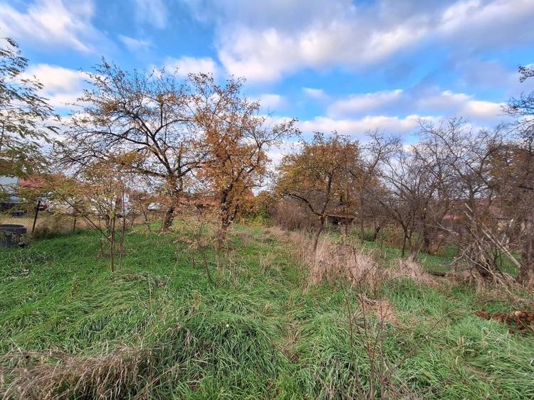 Casa individuala de vanzare cu livada si teren generos in Luna de Sus - 5