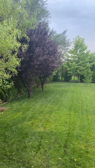 Vanzare casa Paradisul Verde Corbeanca - 6