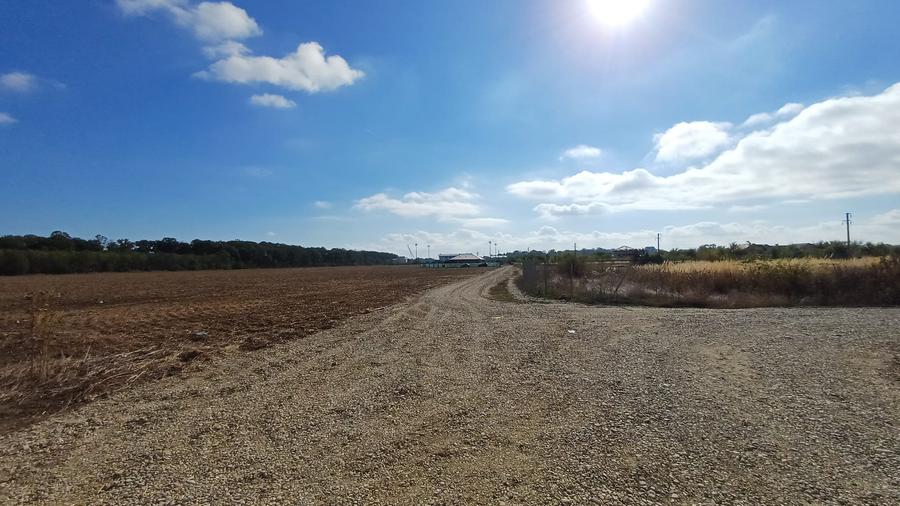 Teren Izvorani -Padure -COR - 2