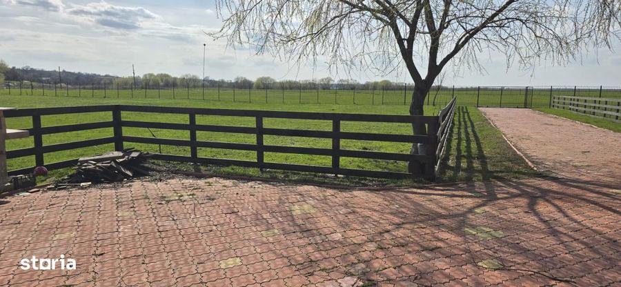 Ferma Zootehnica de Vanzare 6 Ha | Vaci si Oi | Grajd si Saivane | Cal - 1