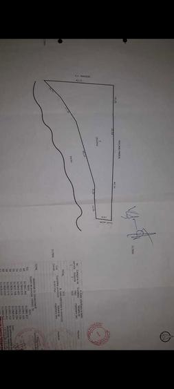 Vand teren intravilan 1632 mp in Poiana Sarata-Oituz - 7