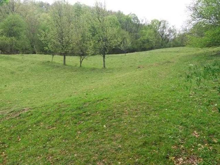 De vanzare aproape 3 Ha intr-o zona Climaterica, de o frumusete aparte - 4