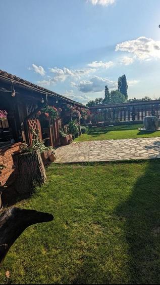 Proprietate specială, de 200 mp, în Obreja