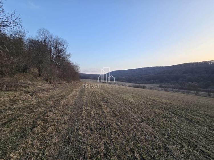 Teren agricol extravilan de 28800 mp, în Sud