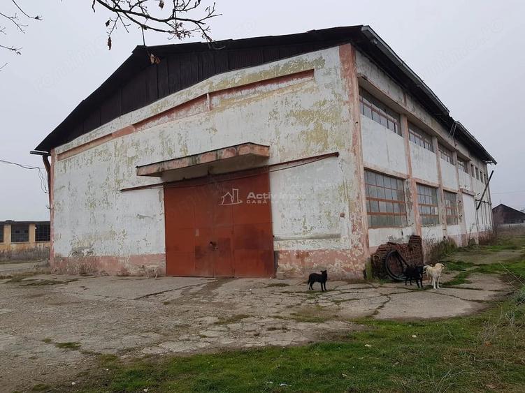 Teren de 17564 mp, în Berzovia