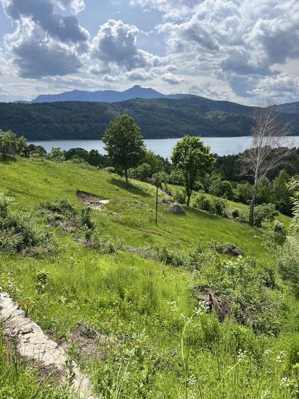 Cabana nordica in Buhalnita Hangu Lac Bicaz investitie - 1