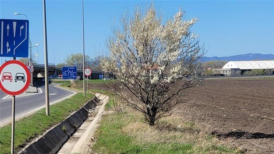 50.000mp teren intravilan, Clasa Master,  in Brasov spre Stupini - 10