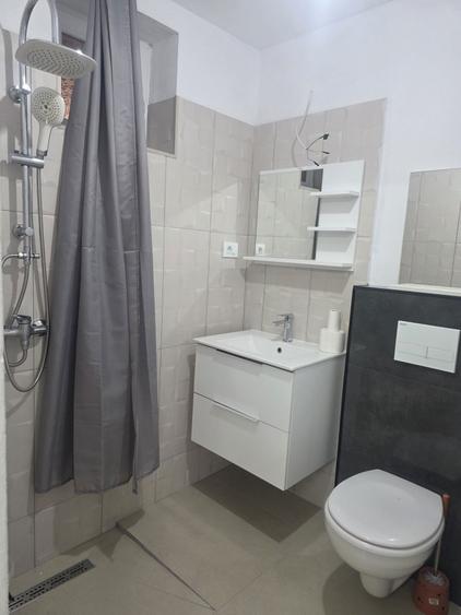 Inchiriez garsoniera parter la curte - 8