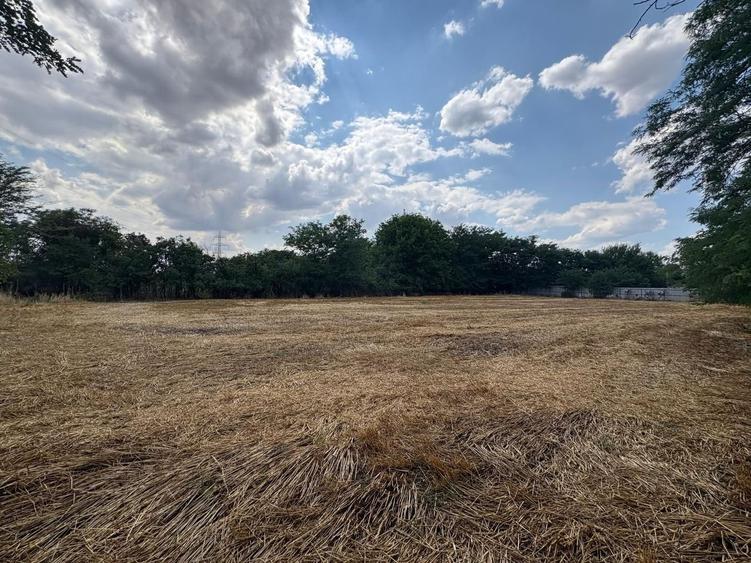 Teren intravilan 2580 mp - Hagiesti - 1