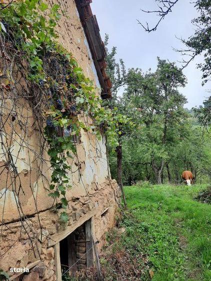 Casa de vanzare cu gradina. - 1