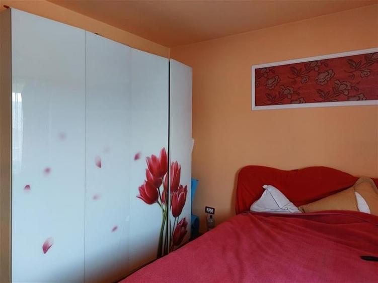 Casa spatioasa in Livada! - 9