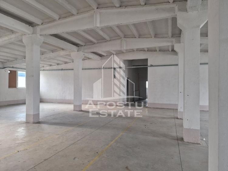 Hala depozitare,productie,birouri,2000mp, zona sud-vest - 11