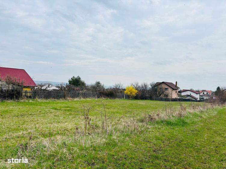 Teren intravilan Nicolae Corches/zona Buna Ziua - 1