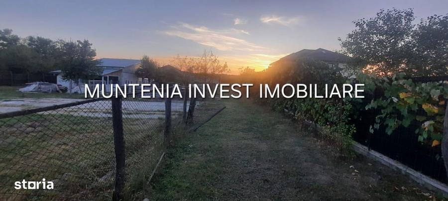 Teren 6000 mp. intravilan Smeura, str. Olteni - 2