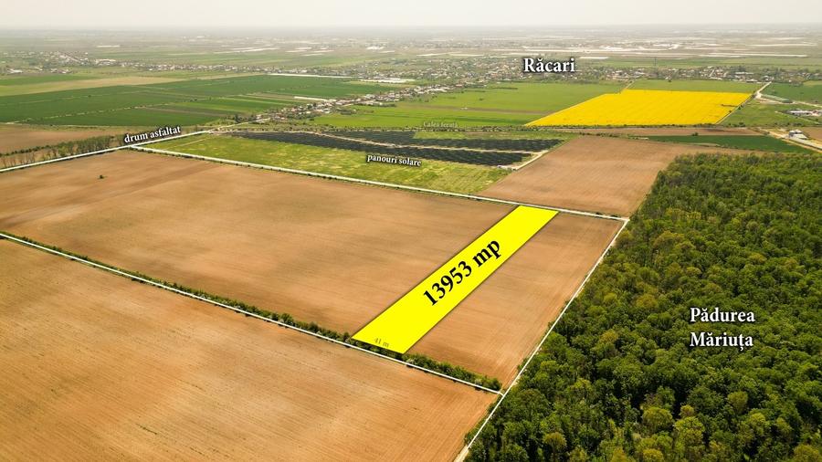 Teren intravilan 13953 mp Răcari lângă Pădurea Măriuța - oportunitate investiție - 1
