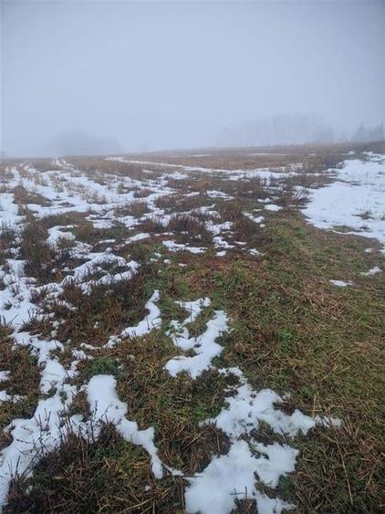 RECO, teren extravilan, Zona Sinteu, Bihor - 8