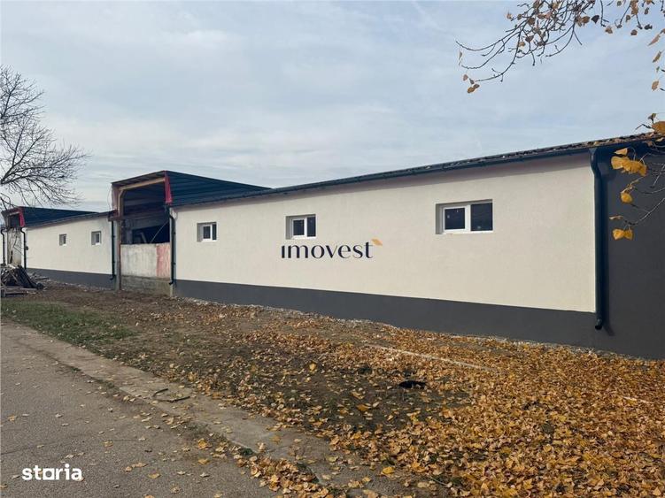 De vanzare hale renovate complet de la 300 la 1200 mp - 6