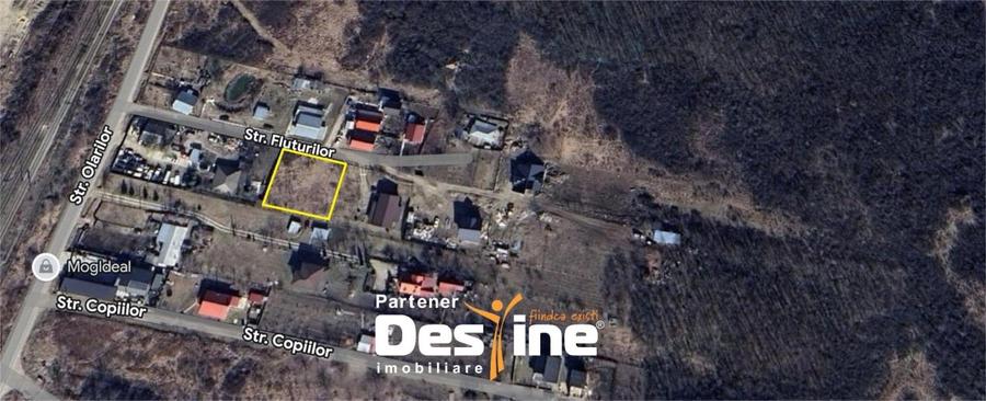 Teren Intravilan - Hlincea (Ciurea) 1000Mp - 3