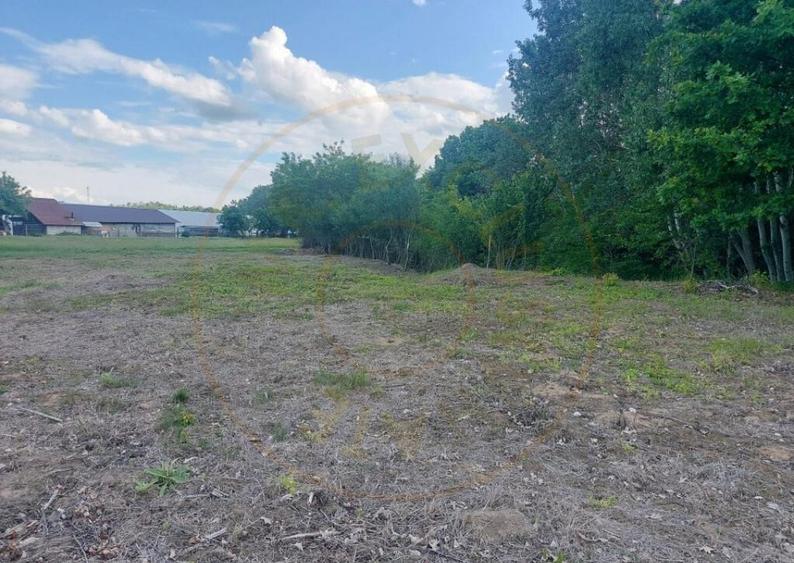 Teren intravilan 1843 mp - Cerbu/Albota/Arges - cu proiect d - 3