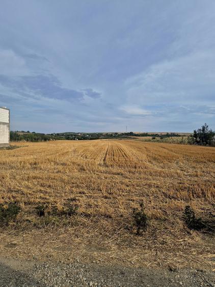 Vand teren intravilan Bals(Vartina), Olt - 1